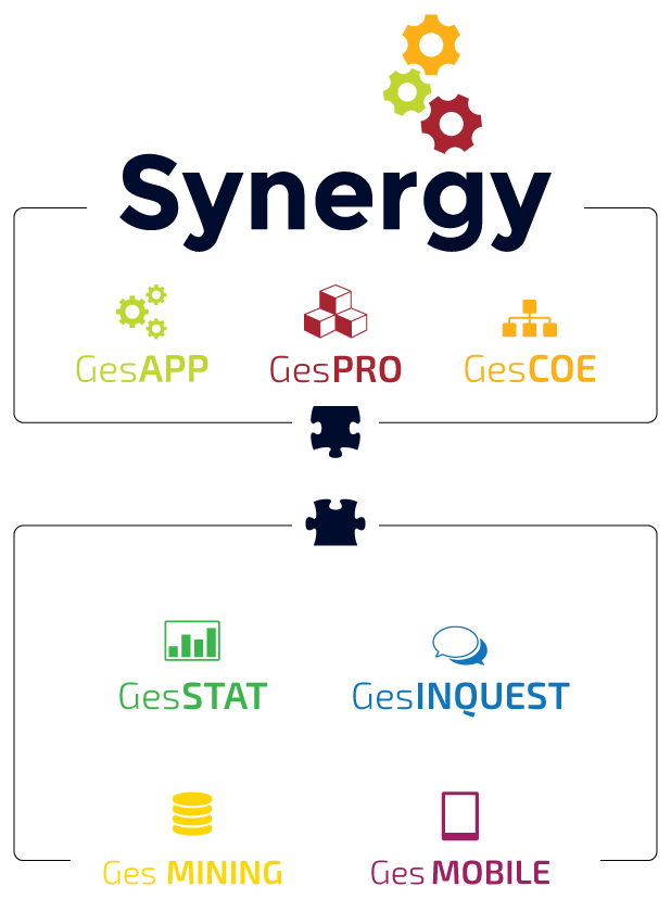 Nucleo Synergy BPM